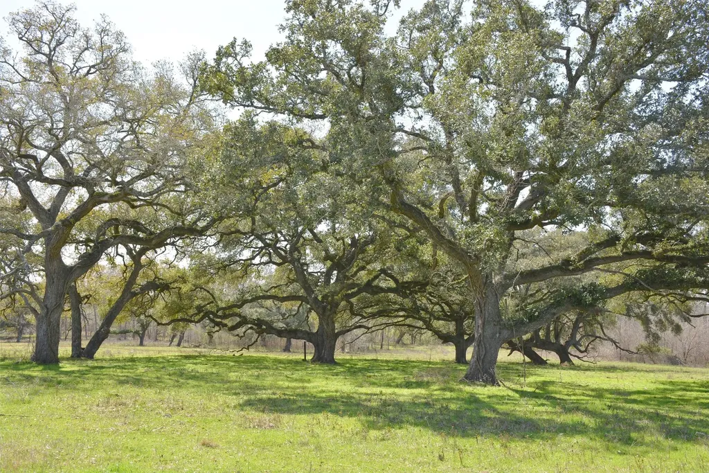 706 Grand Oaks Lane Brenham TX 77833