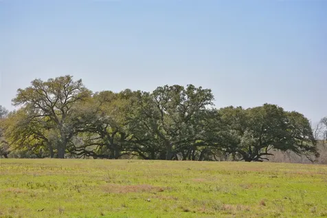 706 Grand Oaks Lane Brenham TX 77833