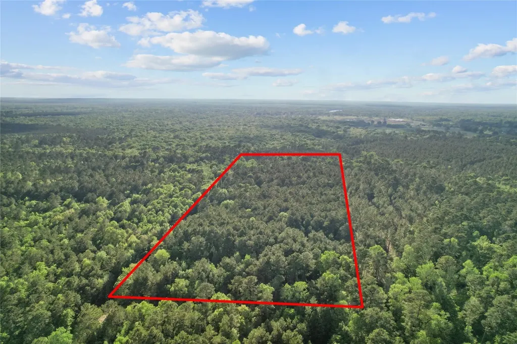 0 County Road 2116 Cleveland TX 77327