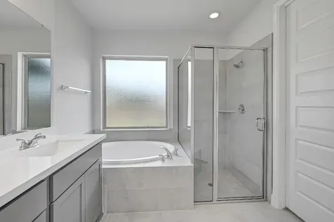 15835 Bird Of Paradise Drive Conroe TX 77302