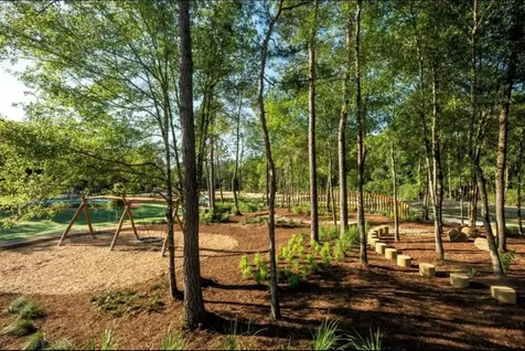 15835 Bird Of Paradise Drive Conroe TX 77302