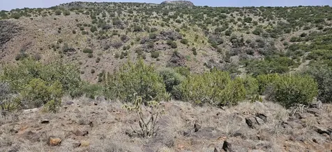 0 Dark Sky Lane Alpine TX 79832