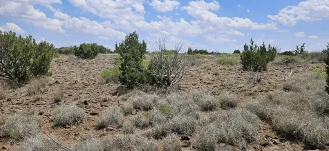 0 Dark Sky Lane Alpine TX 79832