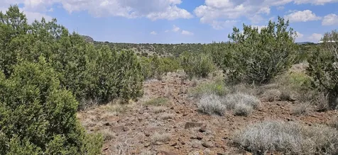0 Dark Sky Lane Alpine TX 79832