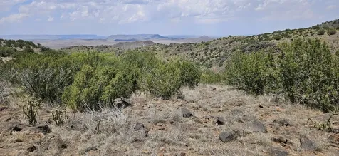 0 Dark Sky Lane Alpine TX 79832
