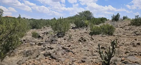 0 Dark Sky Lane Alpine TX 79832