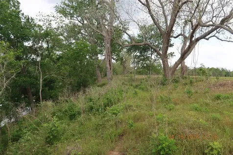 Tbd Highway 71 North Highway Columbus TX 78934