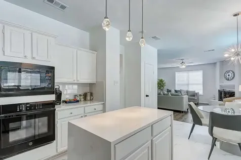 14 Dovetail Place The Woodlands TX 77381