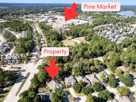 118 Forest Elk Place Montgomery TX 77316
