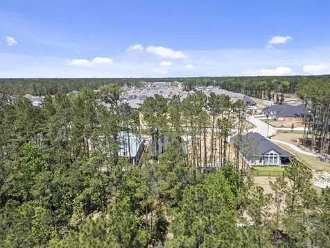 22639 Big Stump Drive Porter TX 77365