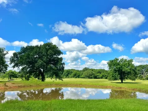 78 Ac Cr 1080 Fairfield TX 75840