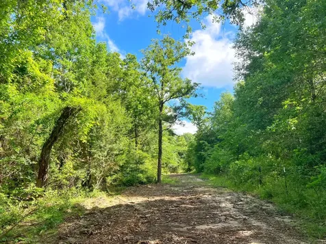 78 Ac Cr 1080 Fairfield TX 75840