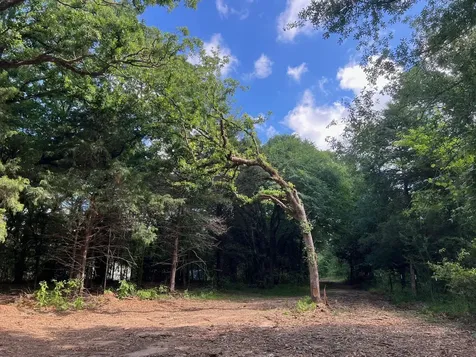 78 Ac Cr 1080 Fairfield TX 75840