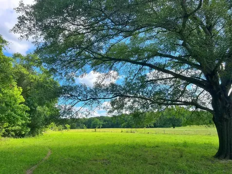 78 Ac Cr 1080 Fairfield TX 75840