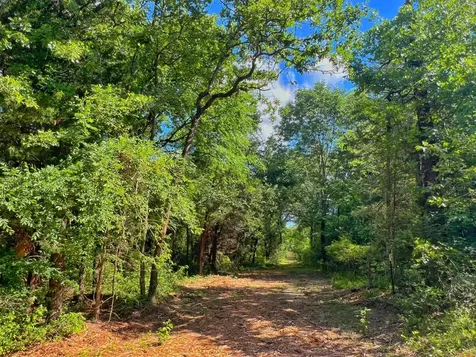 78 Ac Cr 1080 Fairfield TX 75840