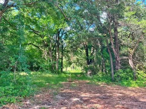 78 Ac Cr 1080 Fairfield TX 75840