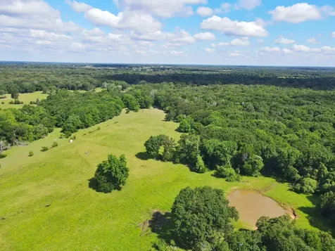 78 Ac Cr 1080 Fairfield TX 75840
