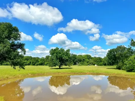 78 Ac Cr 1080 Fairfield TX 75840