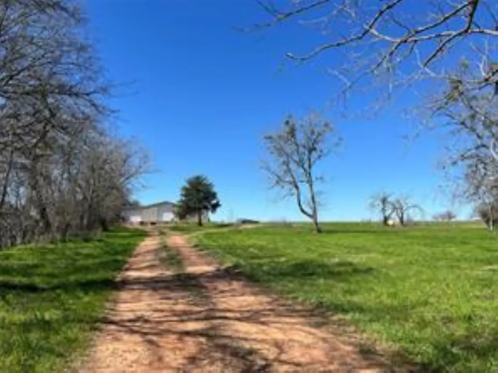 000 Mcelroy Road New Ulm TX 78950