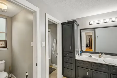 34 Highbush Court The Woodlands TX 77381