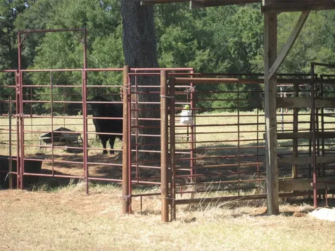3710 State Hwy 7 West Crockett TX 75835