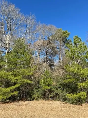 17763 Appaloosa Drive Waller TX 77484