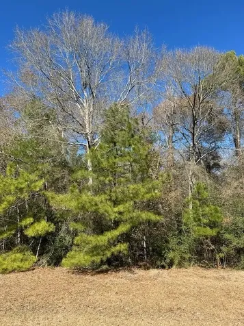 17763 Appaloosa Drive Waller TX 77484