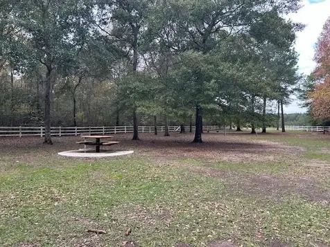 17763 Appaloosa Drive Waller TX 77484