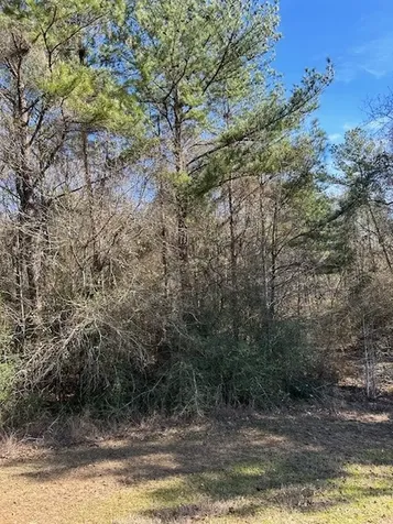 17763 Appaloosa Drive Waller TX 77484