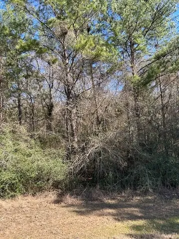 17763 Appaloosa Drive Waller TX 77484