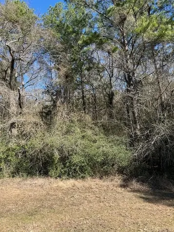 17763 Appaloosa Drive Waller TX 77484