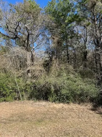 17763 Appaloosa Drive Waller TX 77484