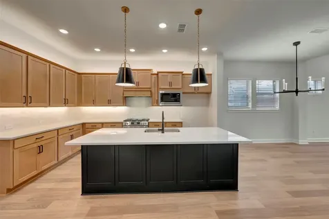 11214 Apricot Sulphur Lane Cypress TX 77433