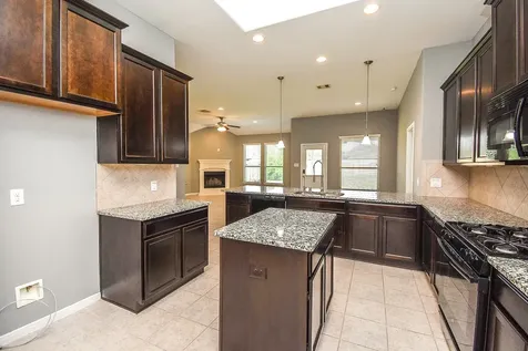 22515 Shibe Park Court Spring TX 77389