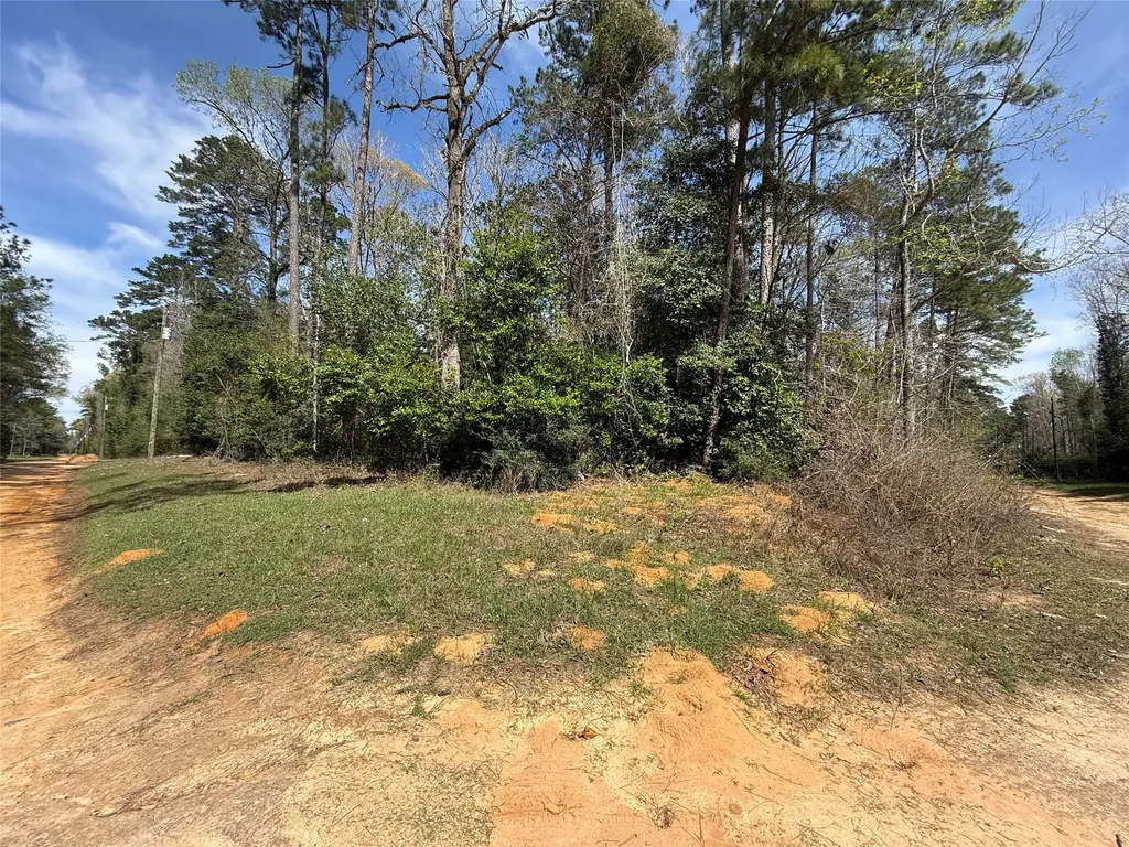 Tbd Glenn Barber Road Livingston TX 77351
