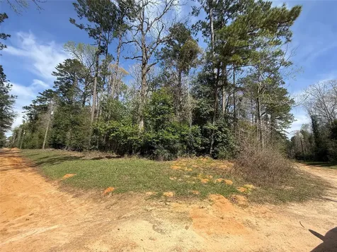 Tbd Glenn Barber Road Livingston TX 77351