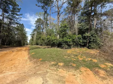 Tbd Glenn Barber Road Livingston TX 77351
