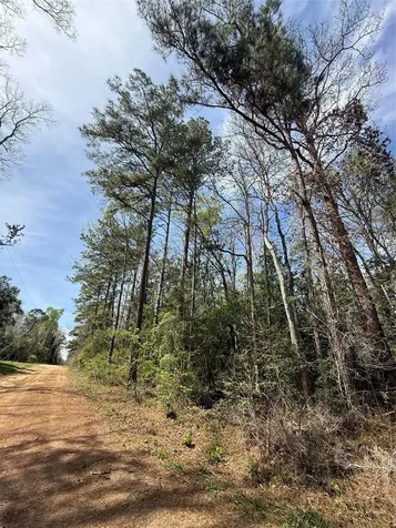 Tbd Glenn Barber Road Livingston TX 77351