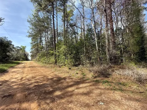 Tbd Glenn Barber Road Livingston TX 77351
