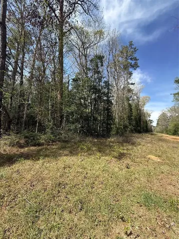 Tbd Glenn Barber Road Livingston TX 77351