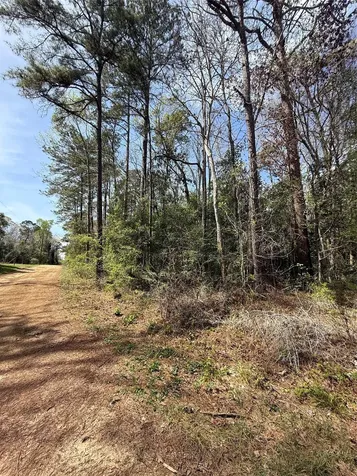 Tbd Glenn Barber Road Livingston TX 77351