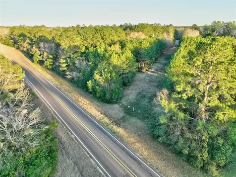 Tract 41-c & 41-d Fm 2610 Livingston TX 77351