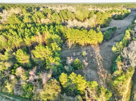 Tract 41-c & 41-d Fm 2610 Livingston TX 77351