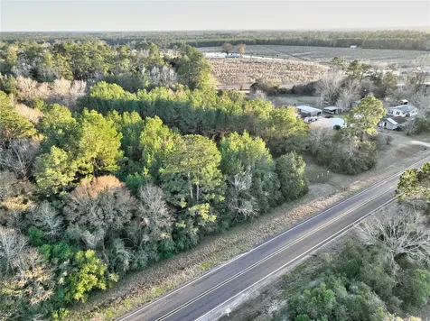 Tract 41-c & 41-d Fm 2610 Livingston TX 77351