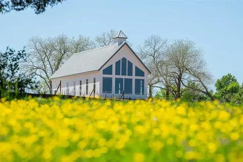 10035 Chester Rough Drive Willis TX 77318