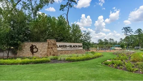 8411 Sweet Cherry Lane Magnolia TX 77354