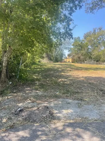 9515 Willow Street Houston TX 77088