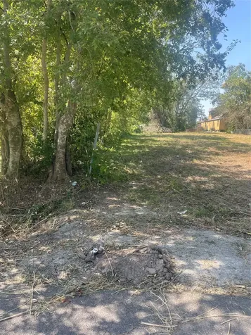 9515 Willow Street Houston TX 77088