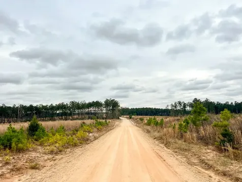 5 Hardin Hideout Road Moscow TX 75960