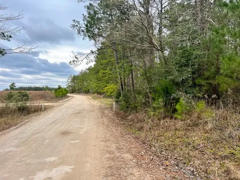 5 Hardin Hideout Road Moscow TX 75960